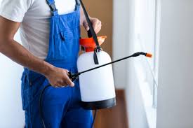 Best Fumigation Services  in Old Forge, PA